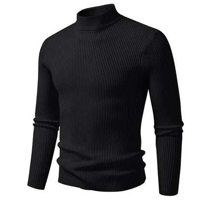 Avelion -  turtle neck sweater